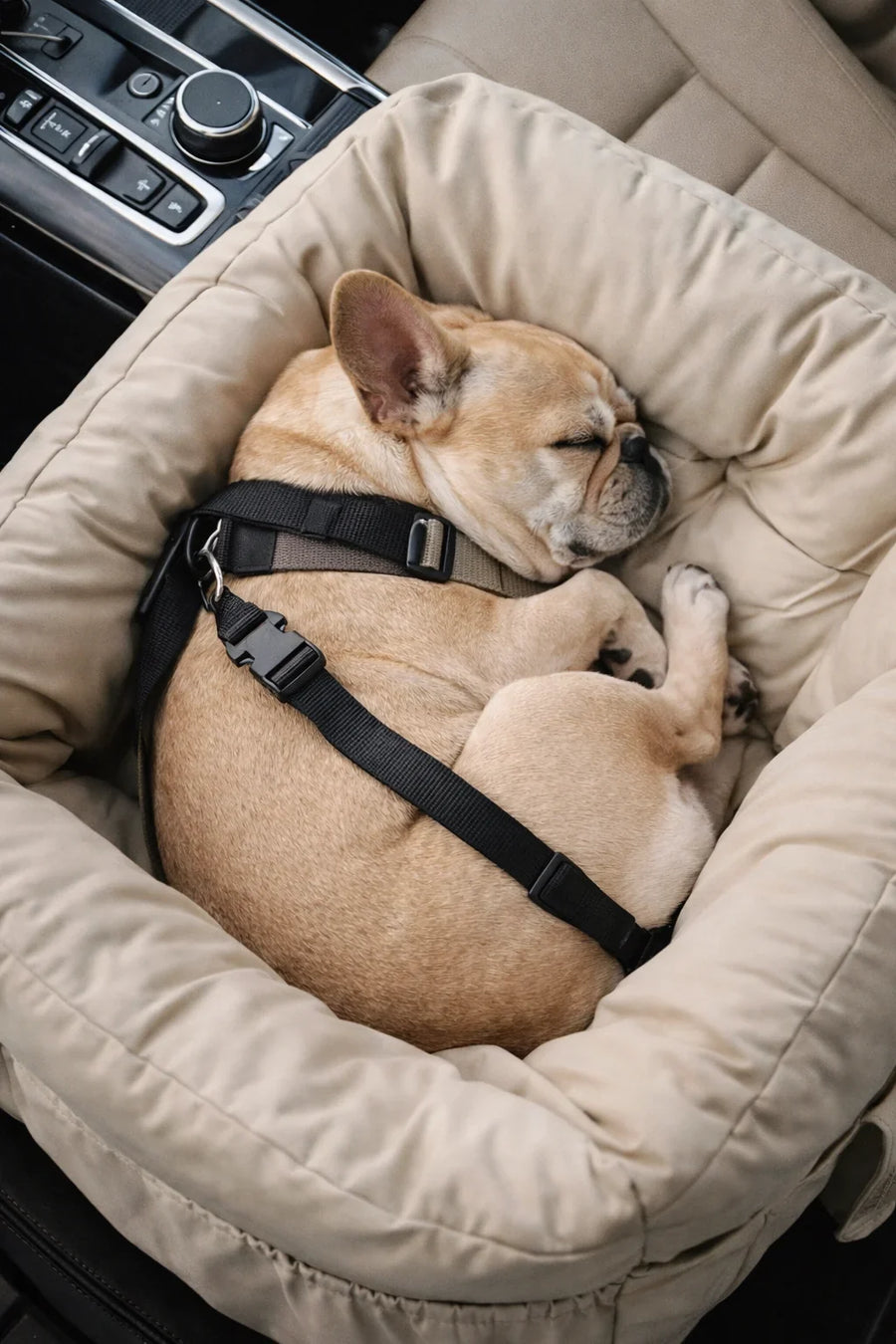 Portable Cotton Dog Bed with Adjustable Safety Harness for Car and Travel