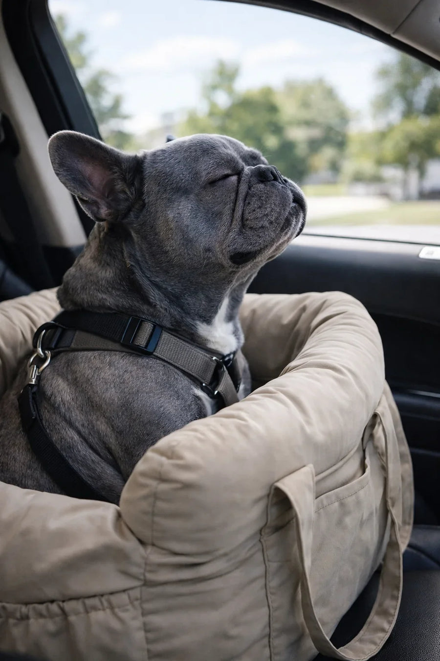 Portable Cotton Dog Bed with Adjustable Safety Harness for Car and Travel