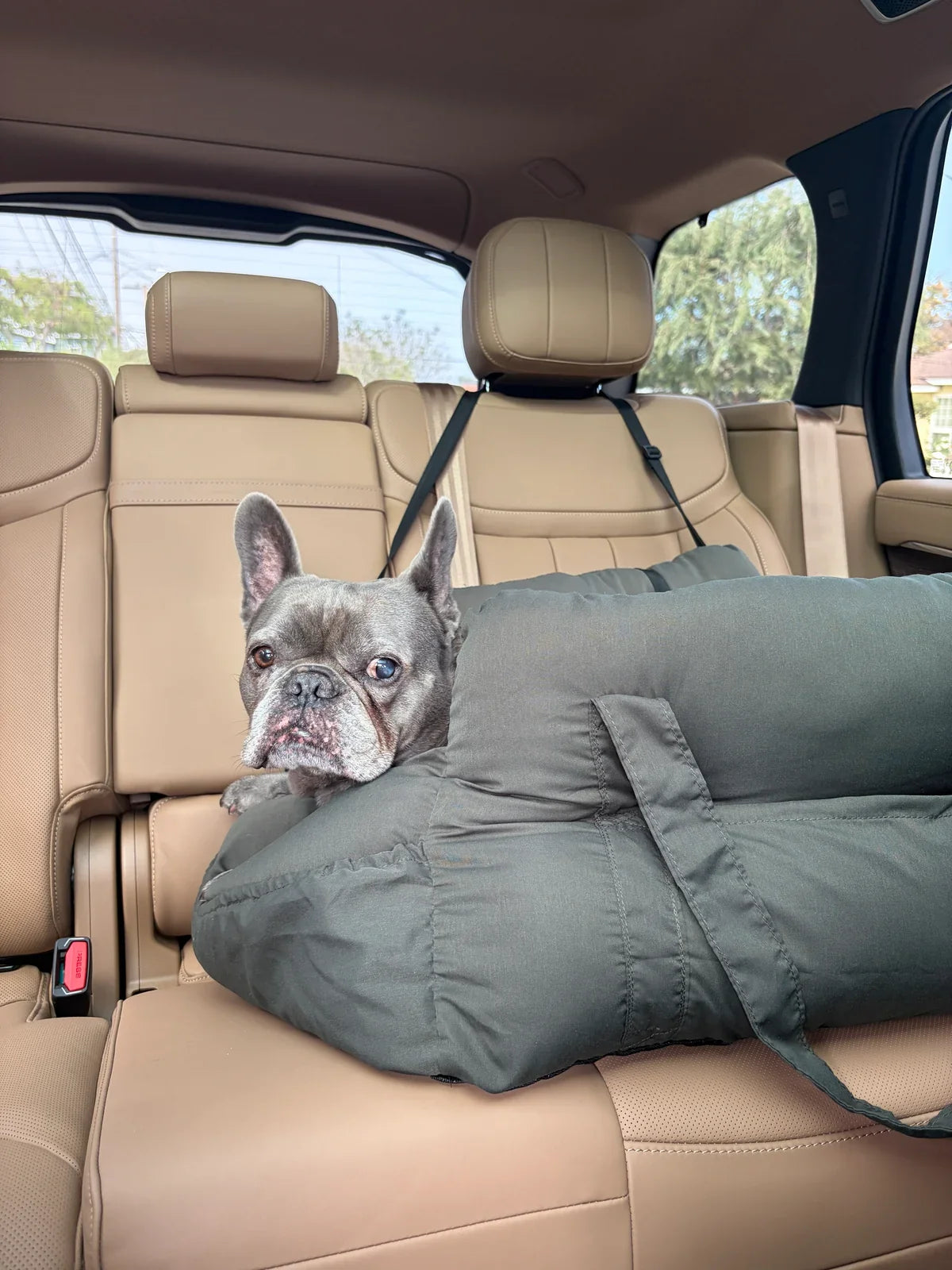 Portable Cotton Dog Bed with Adjustable Safety Harness for Car and Travel