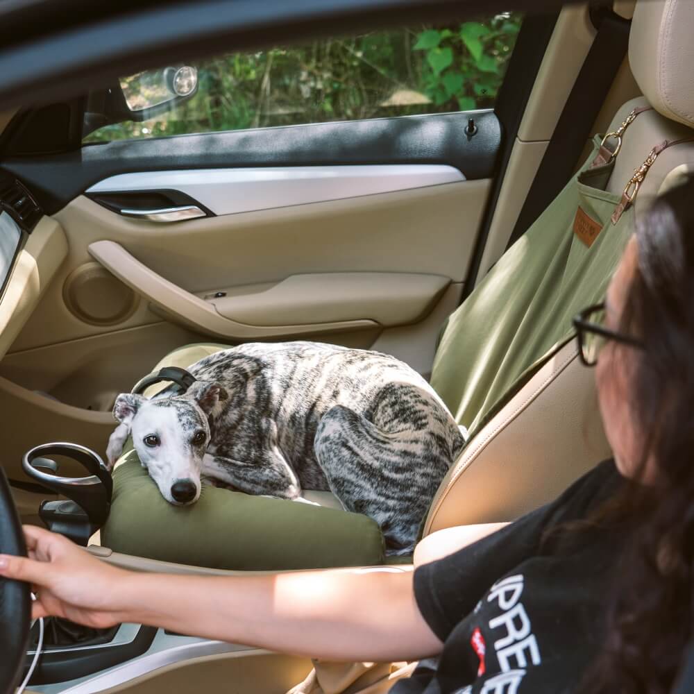 Dog Car Seat – Comfortable with Safety Bolster and Checkerboard Pattern