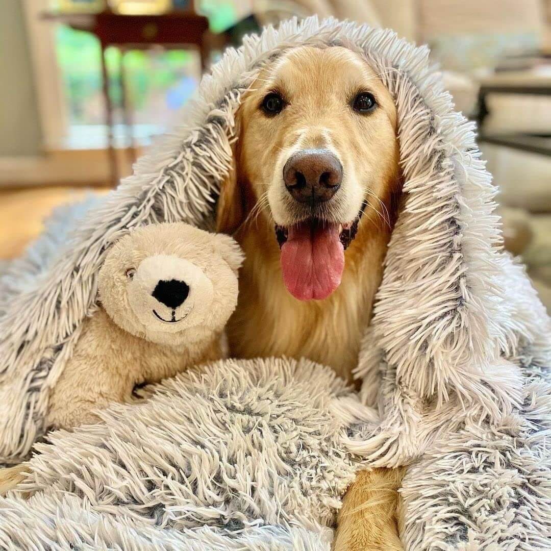 Soft Fluffy Pet Blanket for Anxiety Relief and Comfort