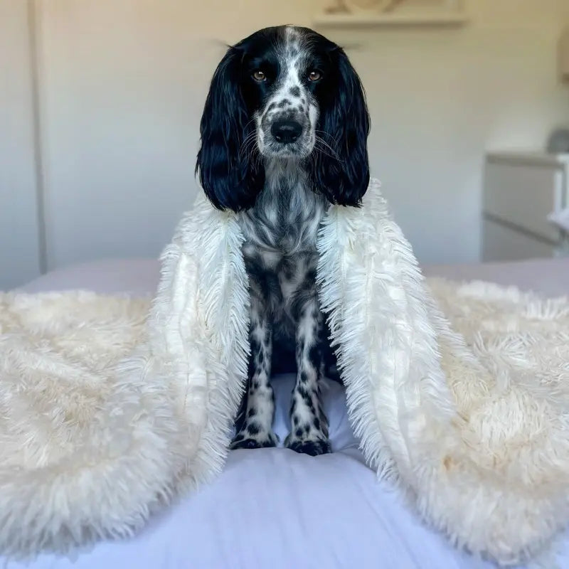 Soft Fluffy Pet Blanket for Anxiety Relief and Comfort