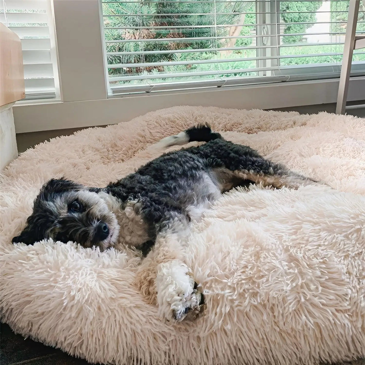 Anti-Anxiety Dog Bed – Comfort and Security for Dogs of All Sizes