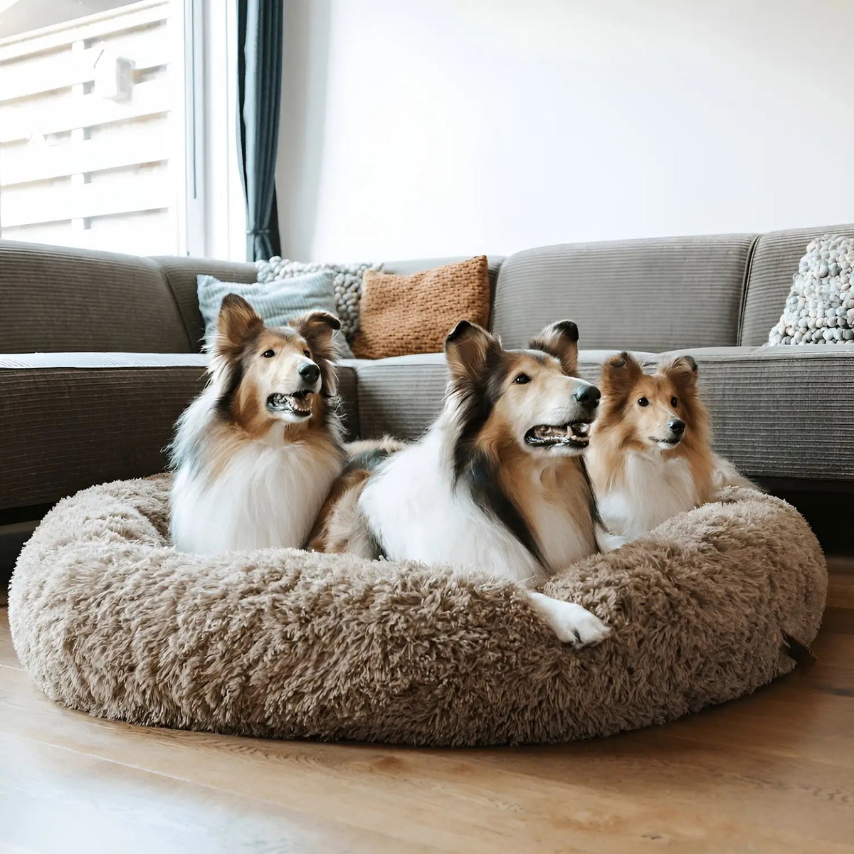 Anti-Anxiety Dog Bed – Comfort and Security for Dogs of All Sizes