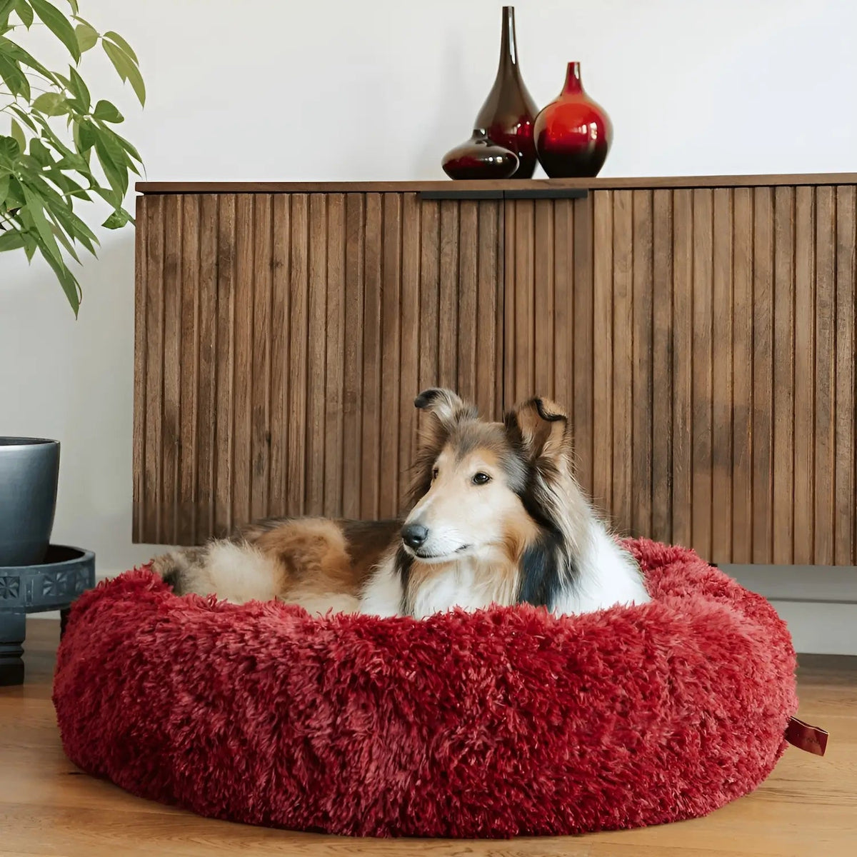 Anti-Anxiety Dog Bed – Comfort and Security for Dogs of All Sizes