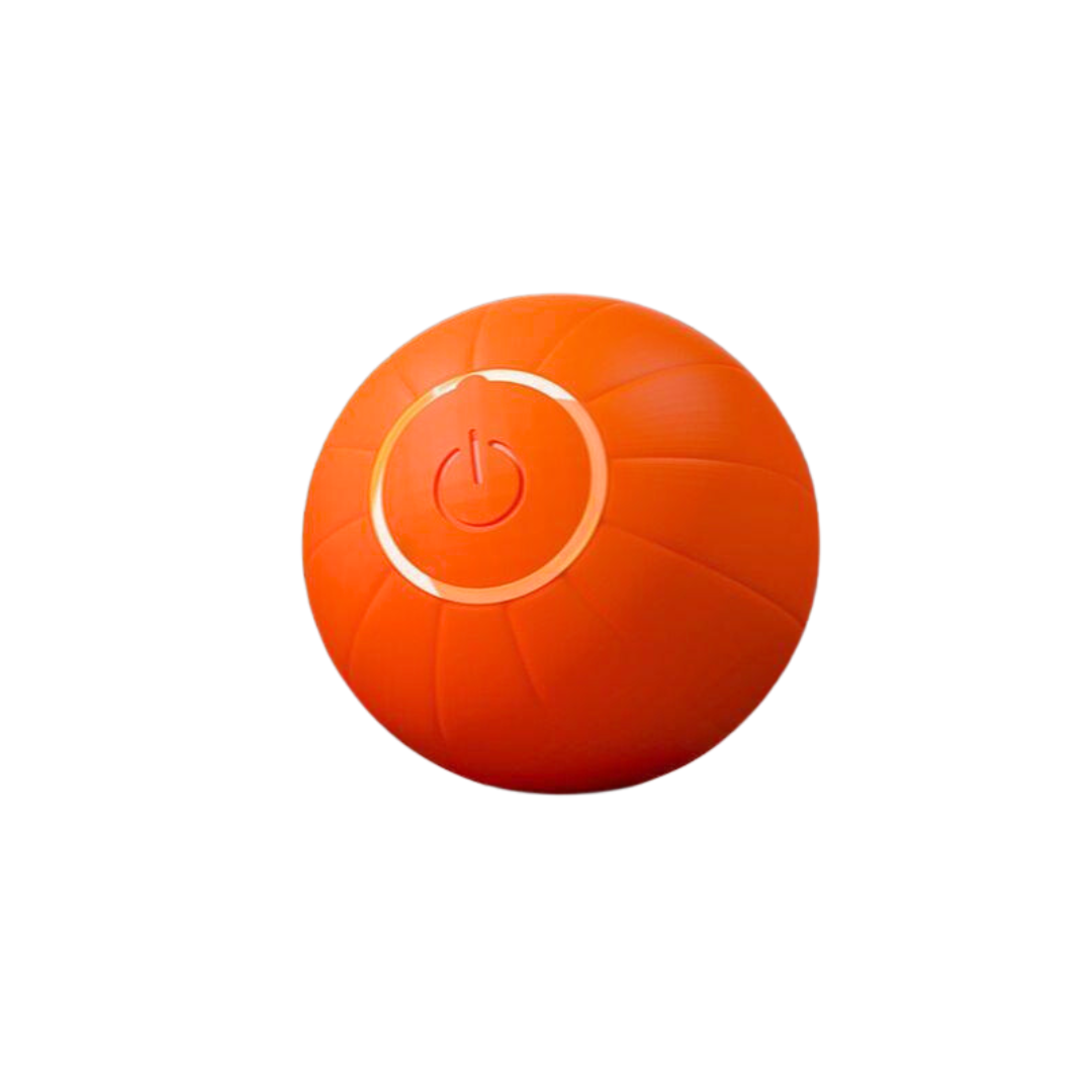 Interactive Cat Toy Ball – Stimulates Natural Instincts