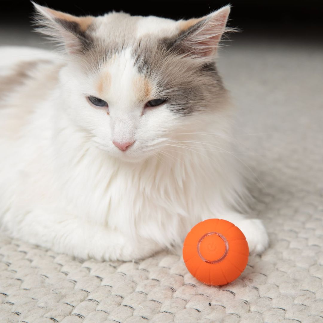 Interactive Cat Toy Ball – Stimulates Natural Instincts