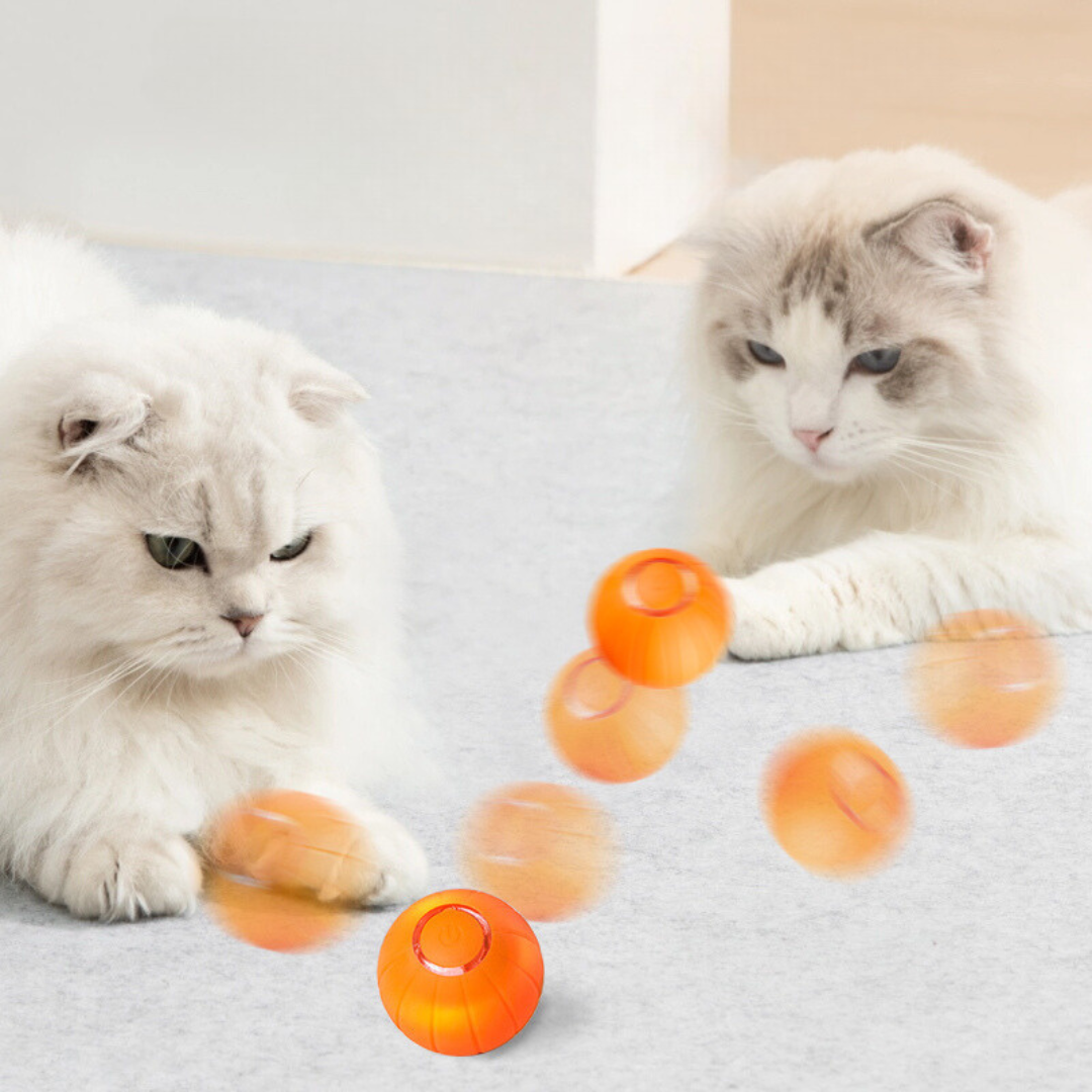 Interactive Cat Toy Ball – Stimulates Natural Instincts