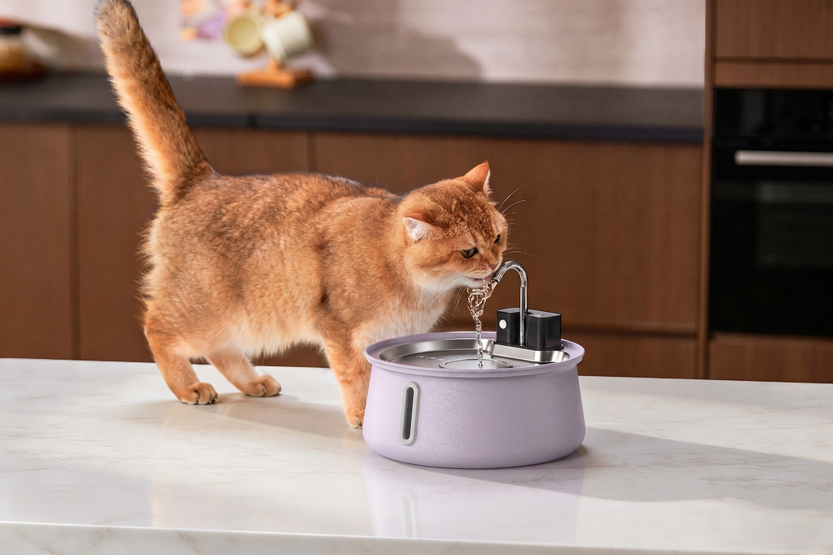 Stainless Steel Cat Water Fountain – Colorful with Water Level Indicator