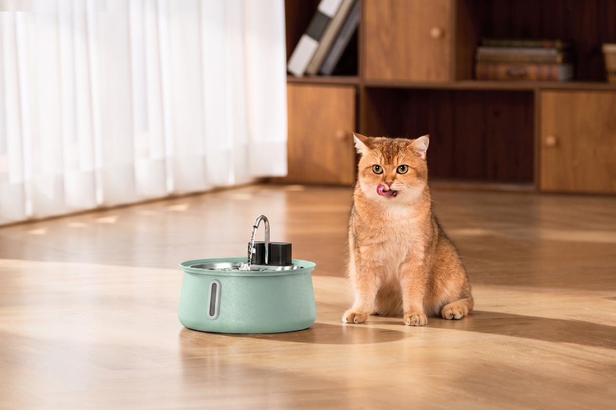 Stainless Steel Cat Water Fountain – Colorful with Water Level Indicator