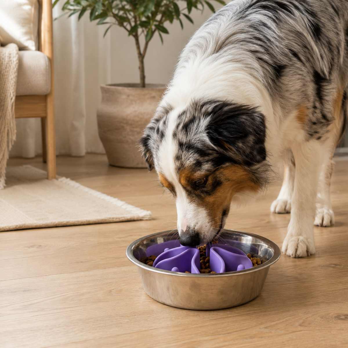 Silicone Slow Feeder Insert for Dog Bowls
