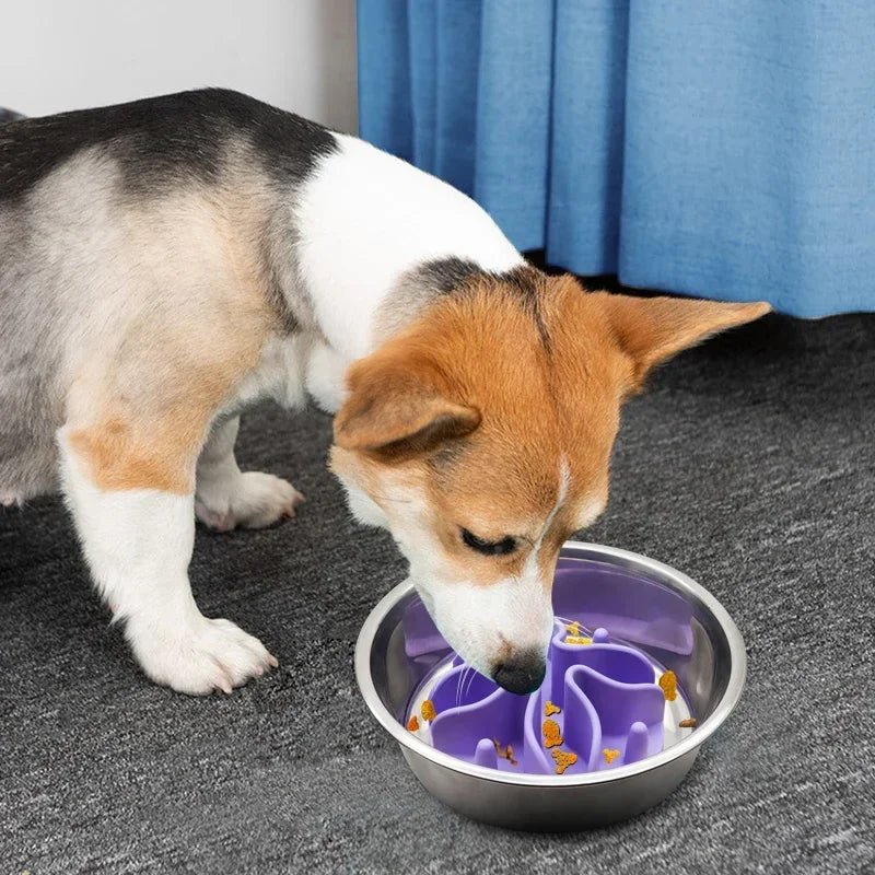Silicone Slow Feeder Insert for Dog Bowls