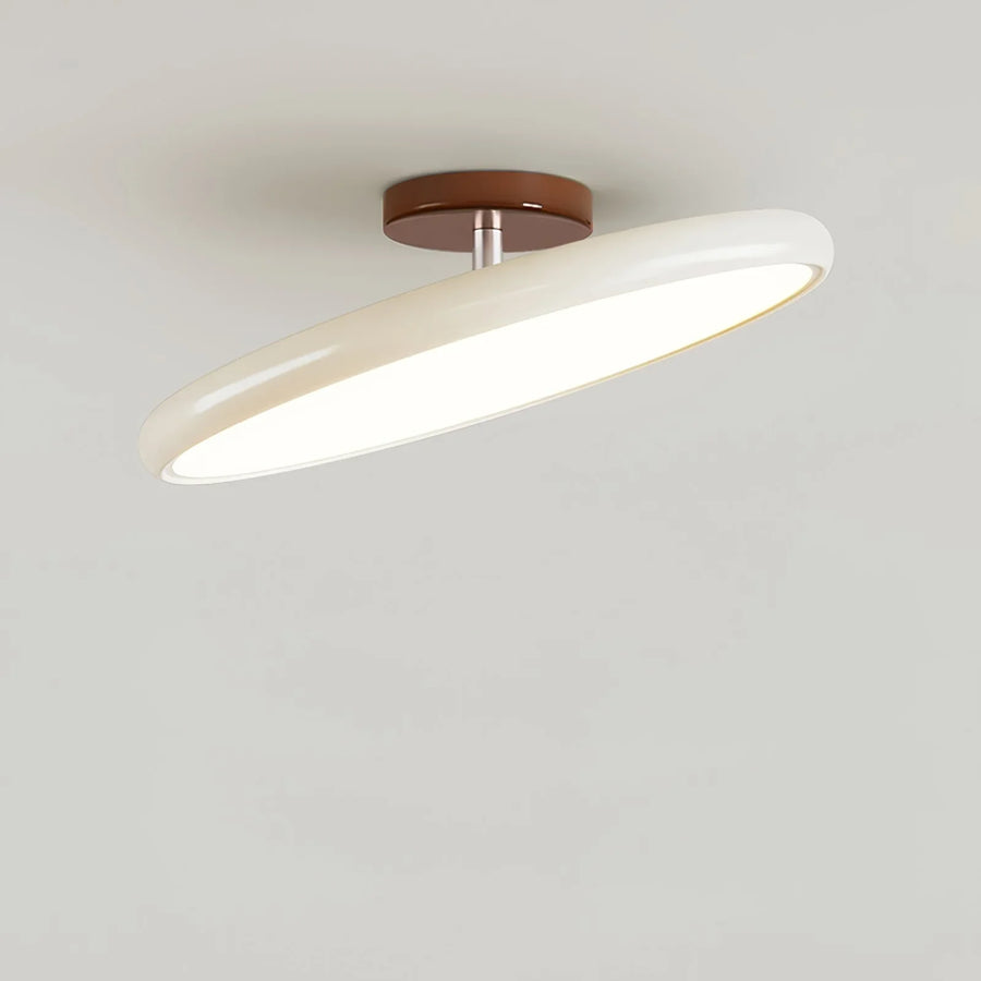 Ceiling Light with Adjustable Lamp Head – Metal and Acrylic for Living Room and Bedroom