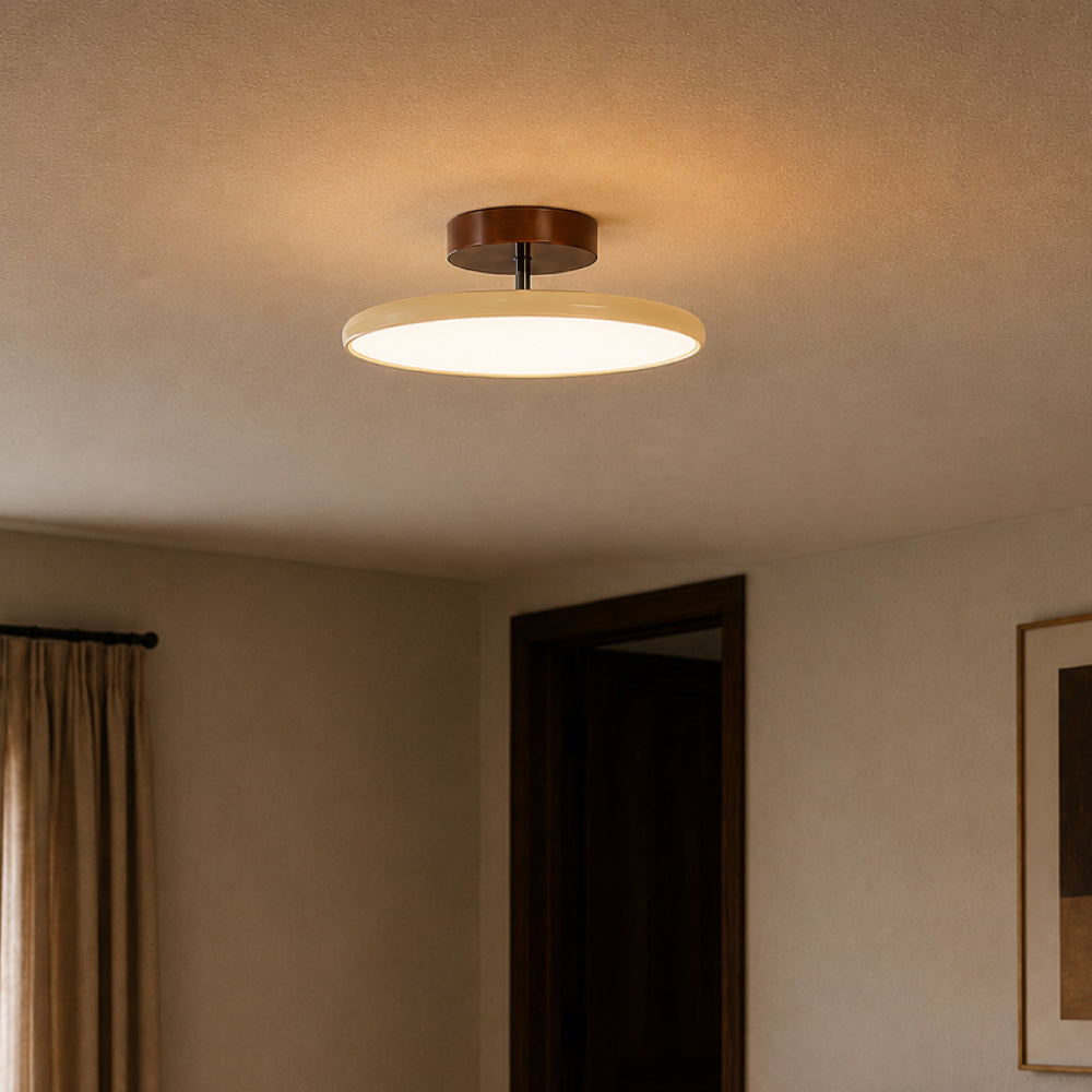 Ceiling Light with Adjustable Lamp Head – Metal and Acrylic for Living Room and Bedroom