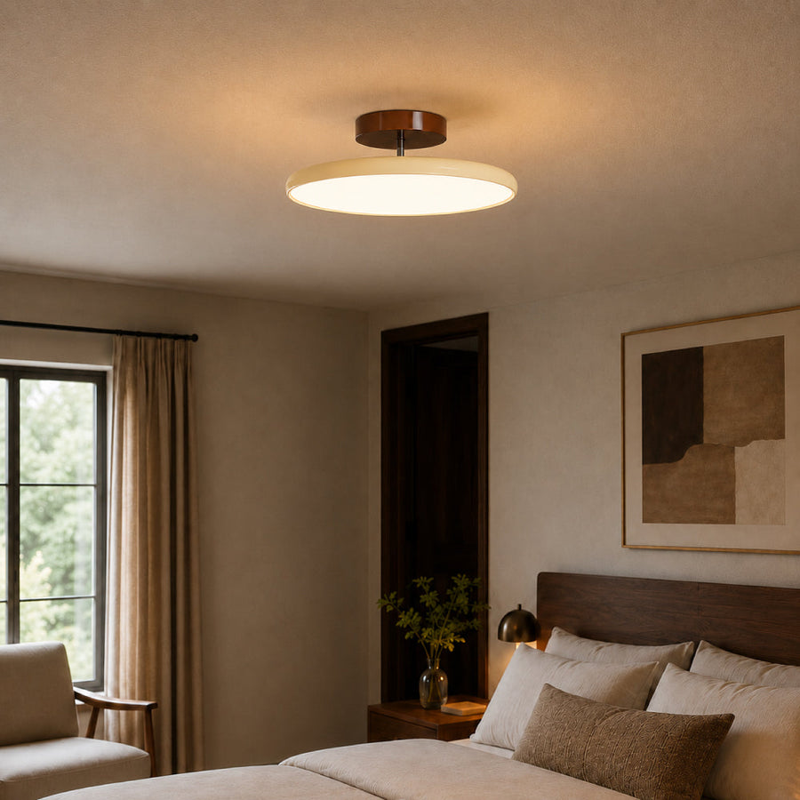 Ceiling Light with Adjustable Lamp Head – Metal and Acrylic for Living Room and Bedroom