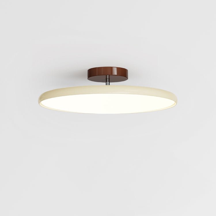 Ceiling Light with Adjustable Lamp Head – Metal and Acrylic for Living Room and Bedroom