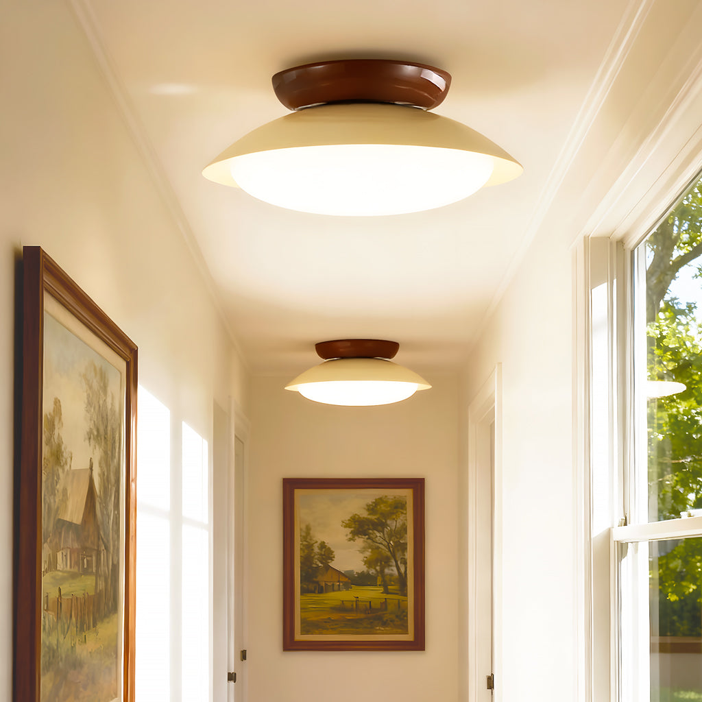 Modern Ceiling Light with Frosted Dome – Elegant Lighting for Stylish Interiors