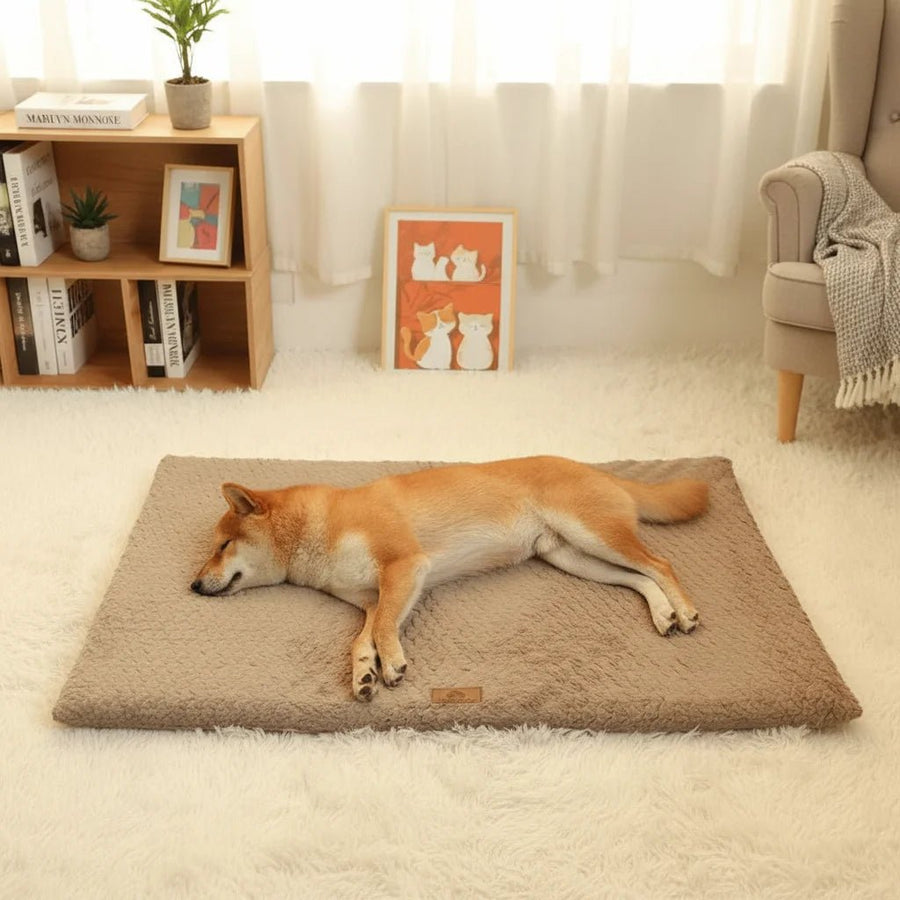 Orthopedic Dog Cushion – Foam Filling for Joint and Back Comfort and Support