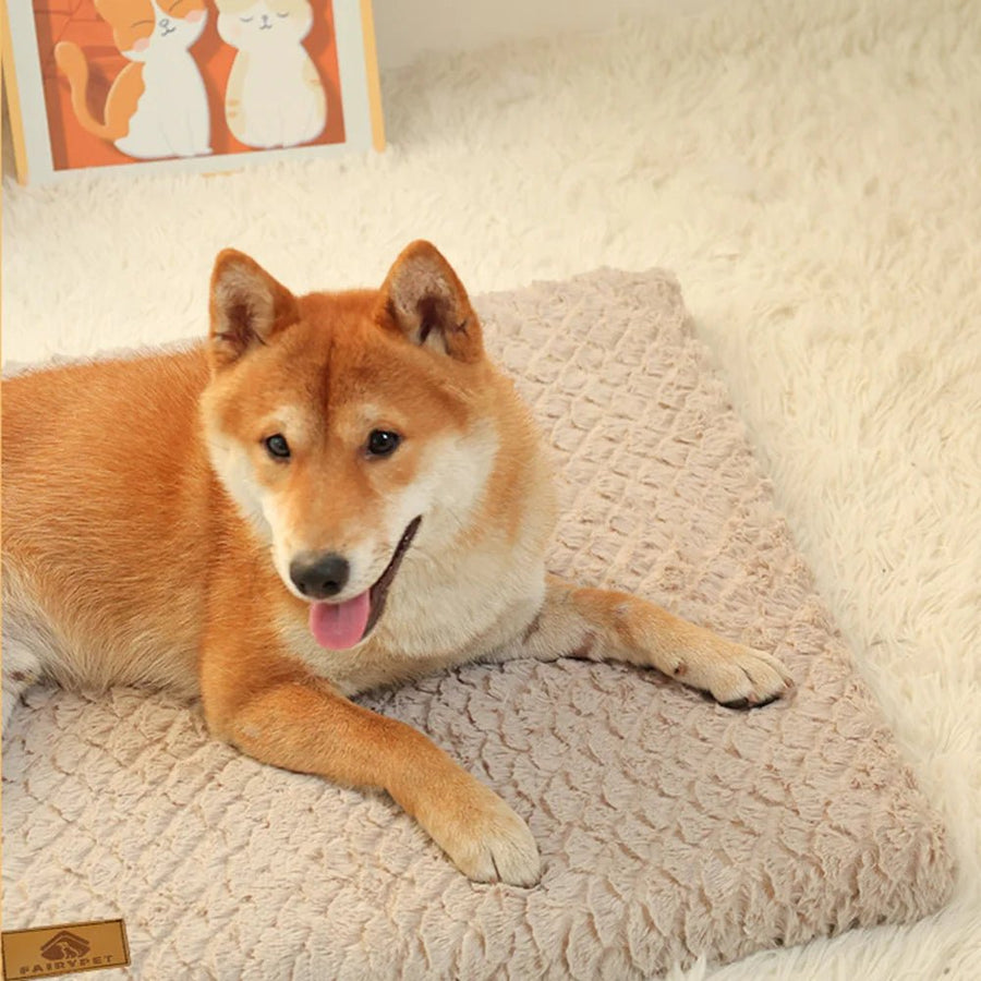 Orthopedic Dog Cushion – Foam Filling for Joint and Back Comfort and Support