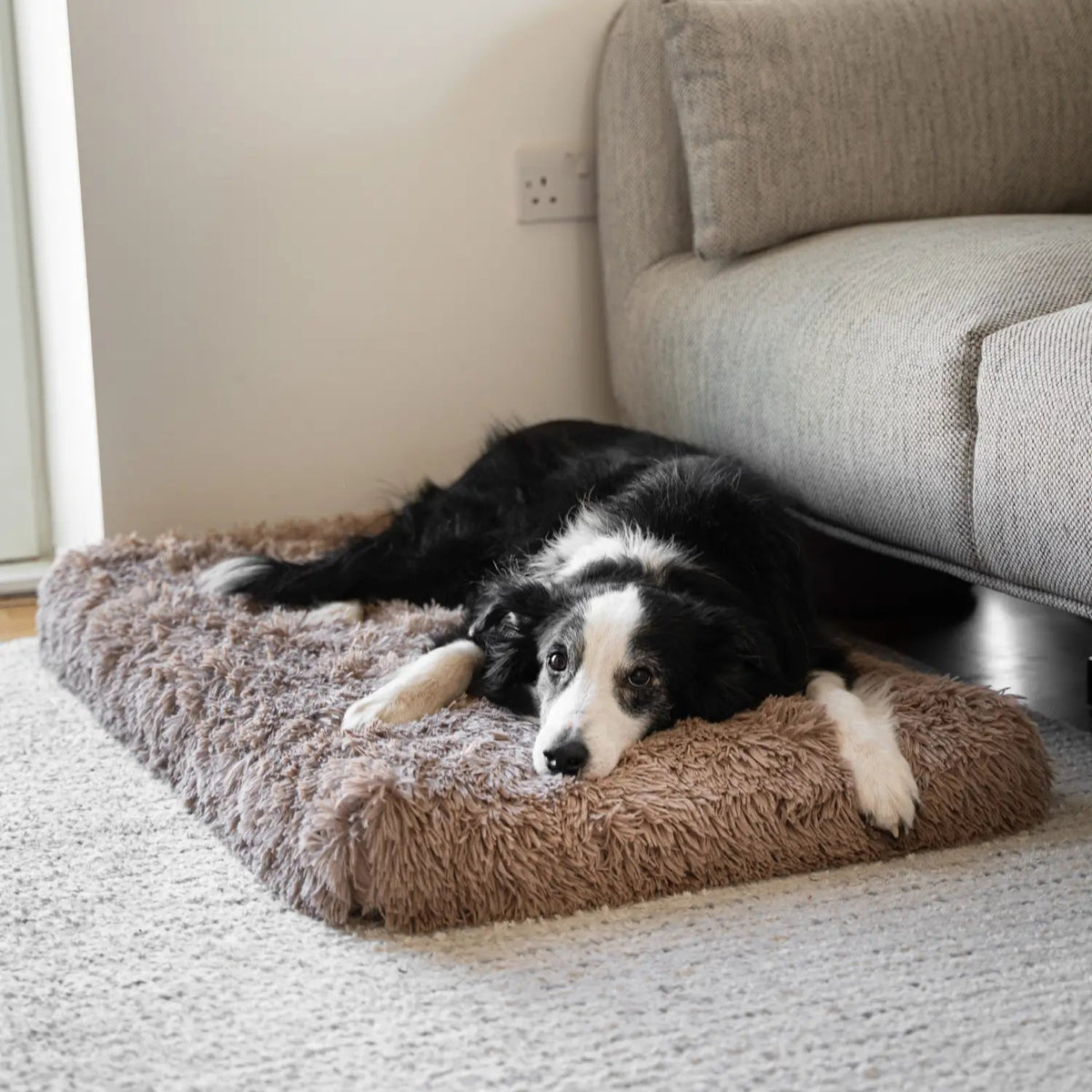 Orthopedic Dog Cushion in Multiple Sizes for Comfort and Support