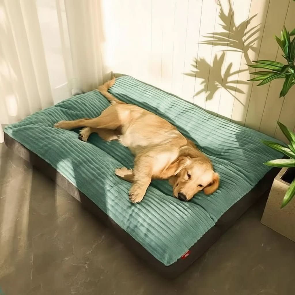 Orthopedic Dog Bed with Soft Joint Support and Comfortable Padding