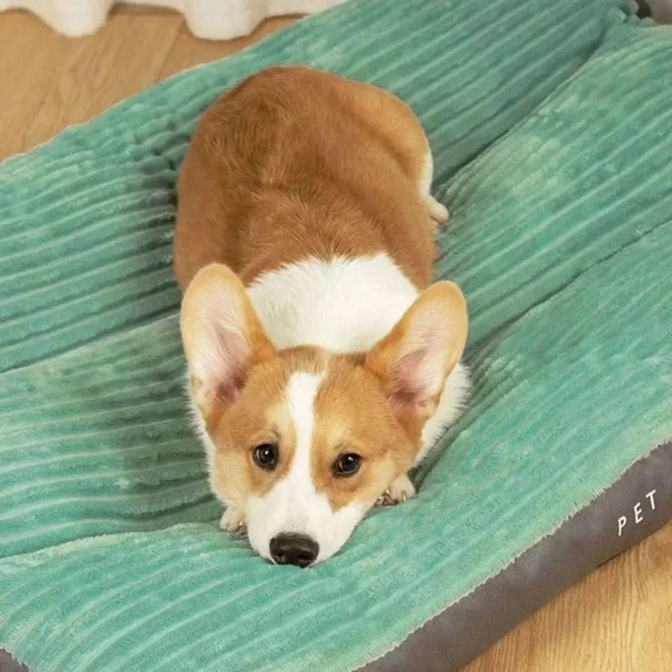 Orthopedic Dog Bed with Soft Joint Support and Comfortable Padding