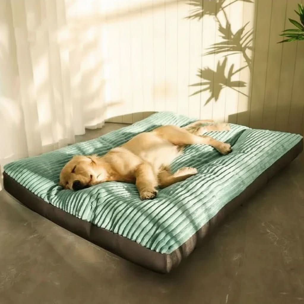 Orthopedic Dog Bed with Soft Joint Support and Comfortable Padding