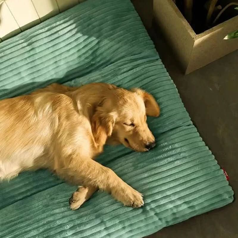 Orthopedic Dog Bed with Soft Joint Support and Comfortable Padding