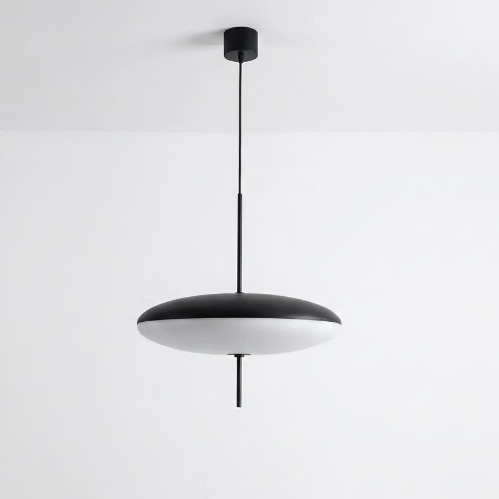 Oval Glass Pendant Light – Floating Disc Shape with Slim Metal Rod