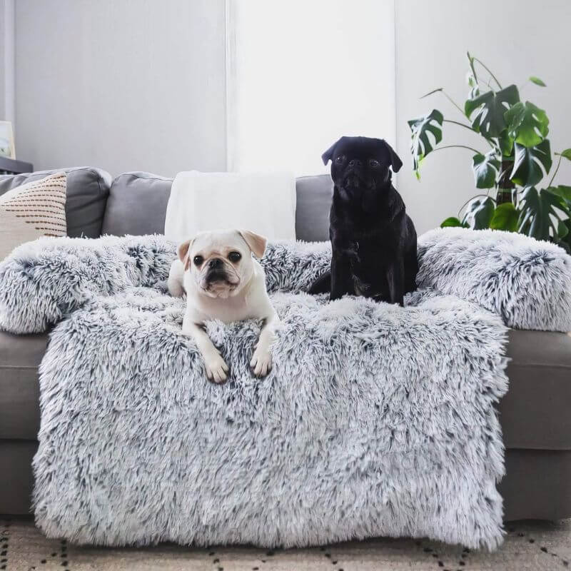Pet Sofa Cover – Non-Slip, Machine-Washable Furniture Protection