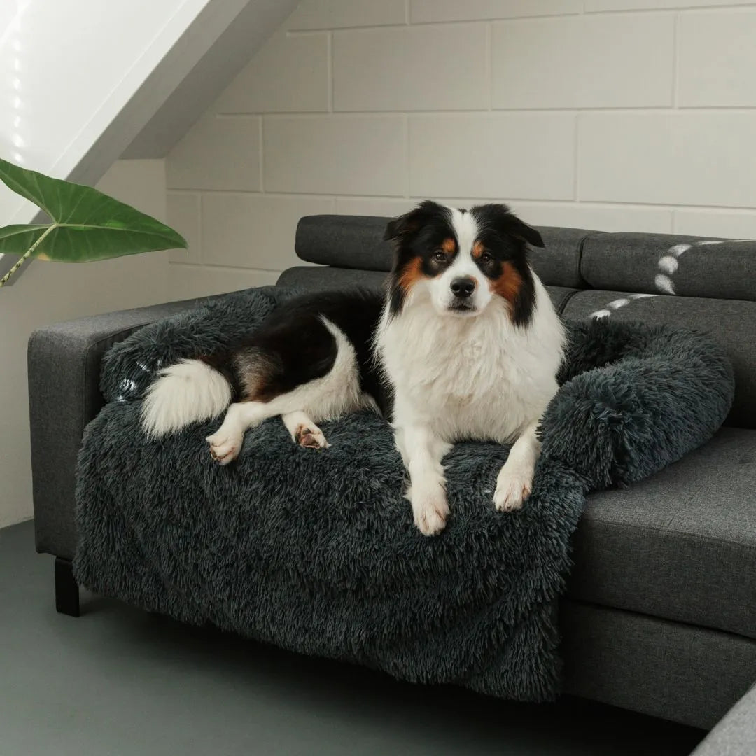 Pet Sofa Cover – Non-Slip, Machine-Washable Furniture Protection