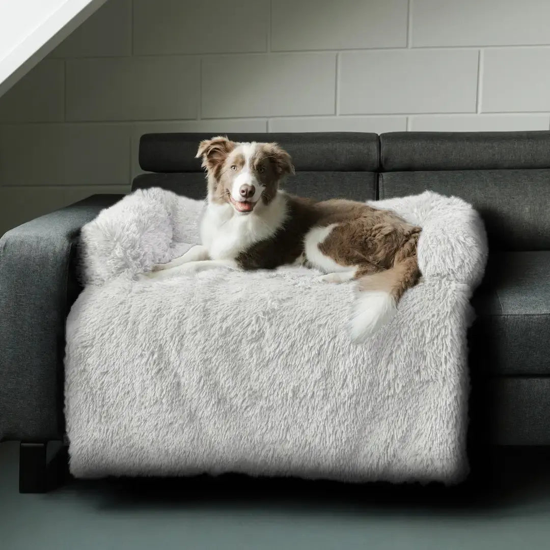 Pet Sofa Cover – Non-Slip, Machine-Washable Furniture Protection