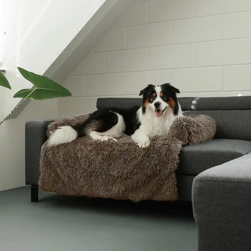 Pet Sofa Cover – Non-Slip, Machine-Washable Furniture Protection