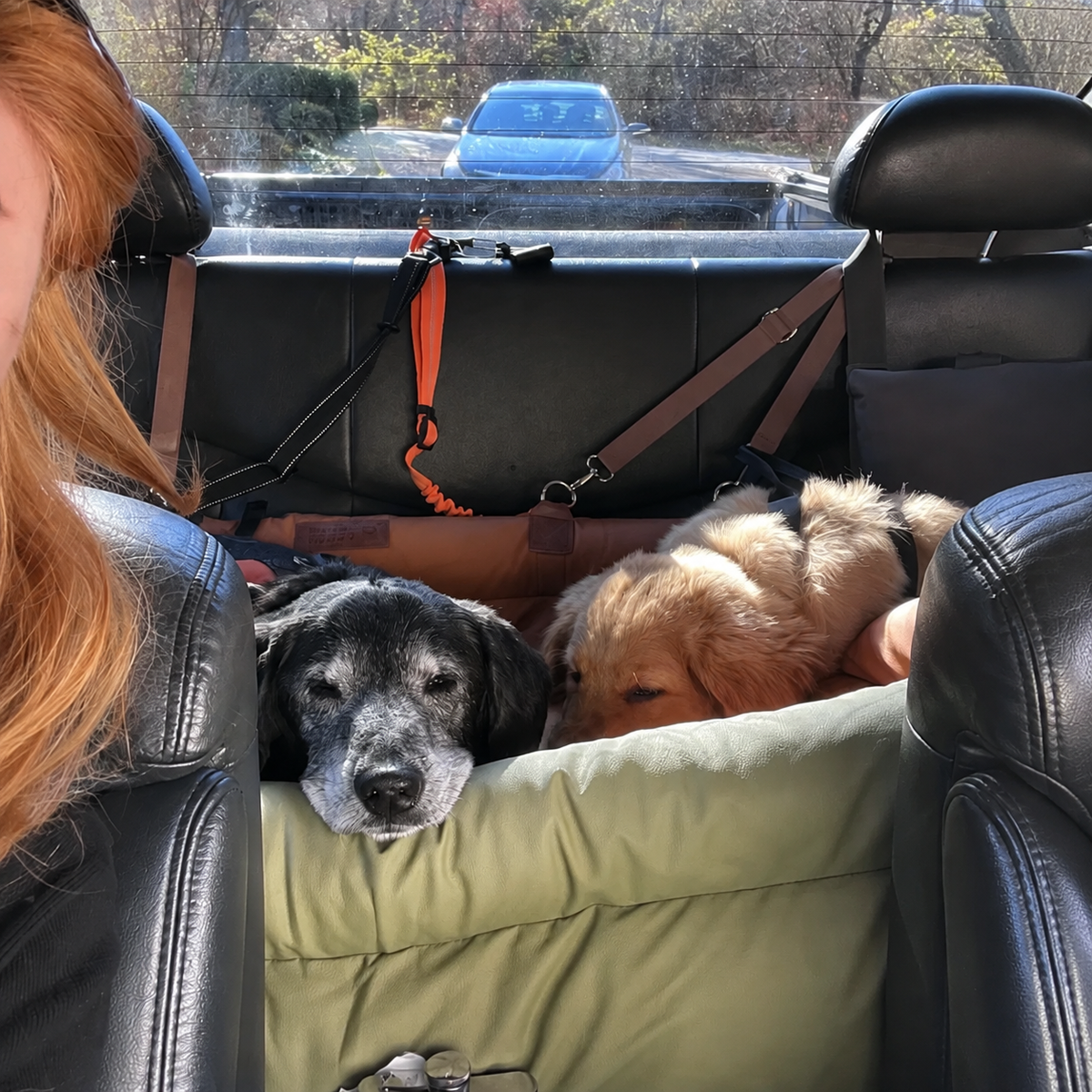 Large Faux Leather Dog Car Seat – Non-Slip Base and Padded Comfort