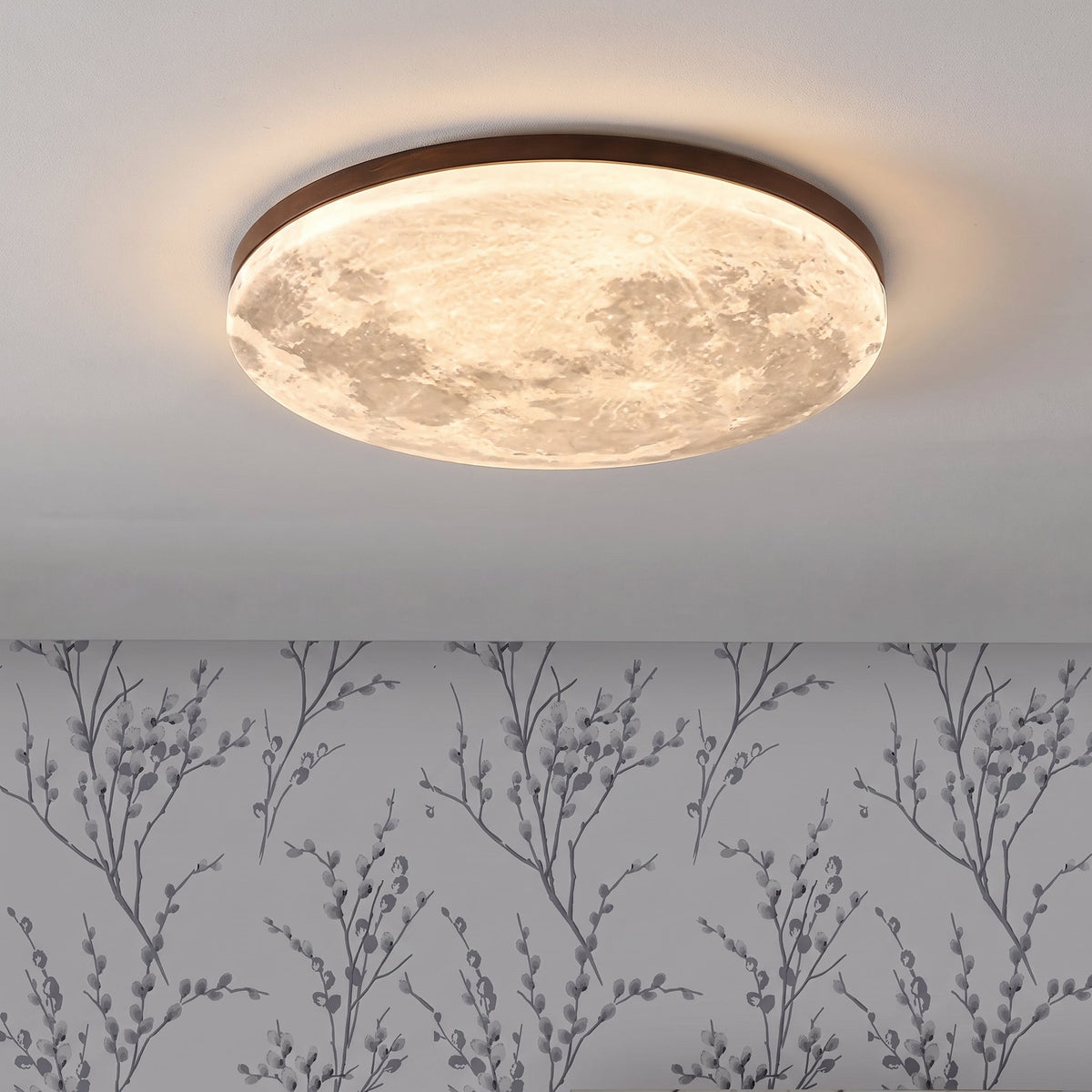 Moon Ceiling Light