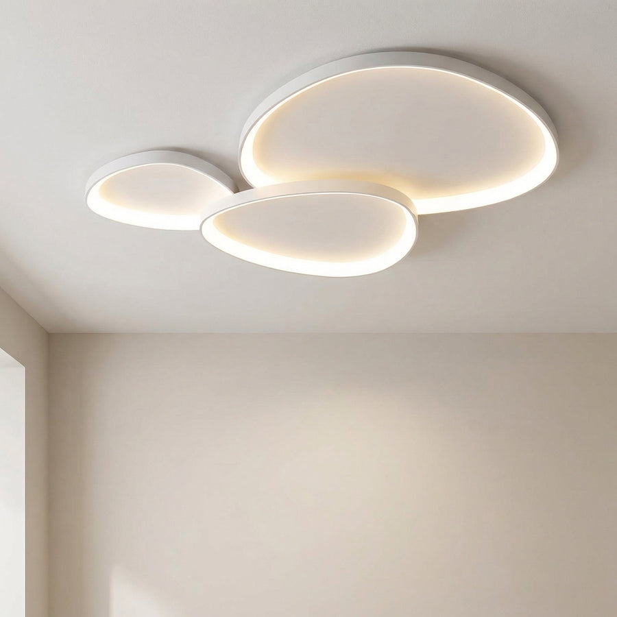 Modern Armure Ceiling Light