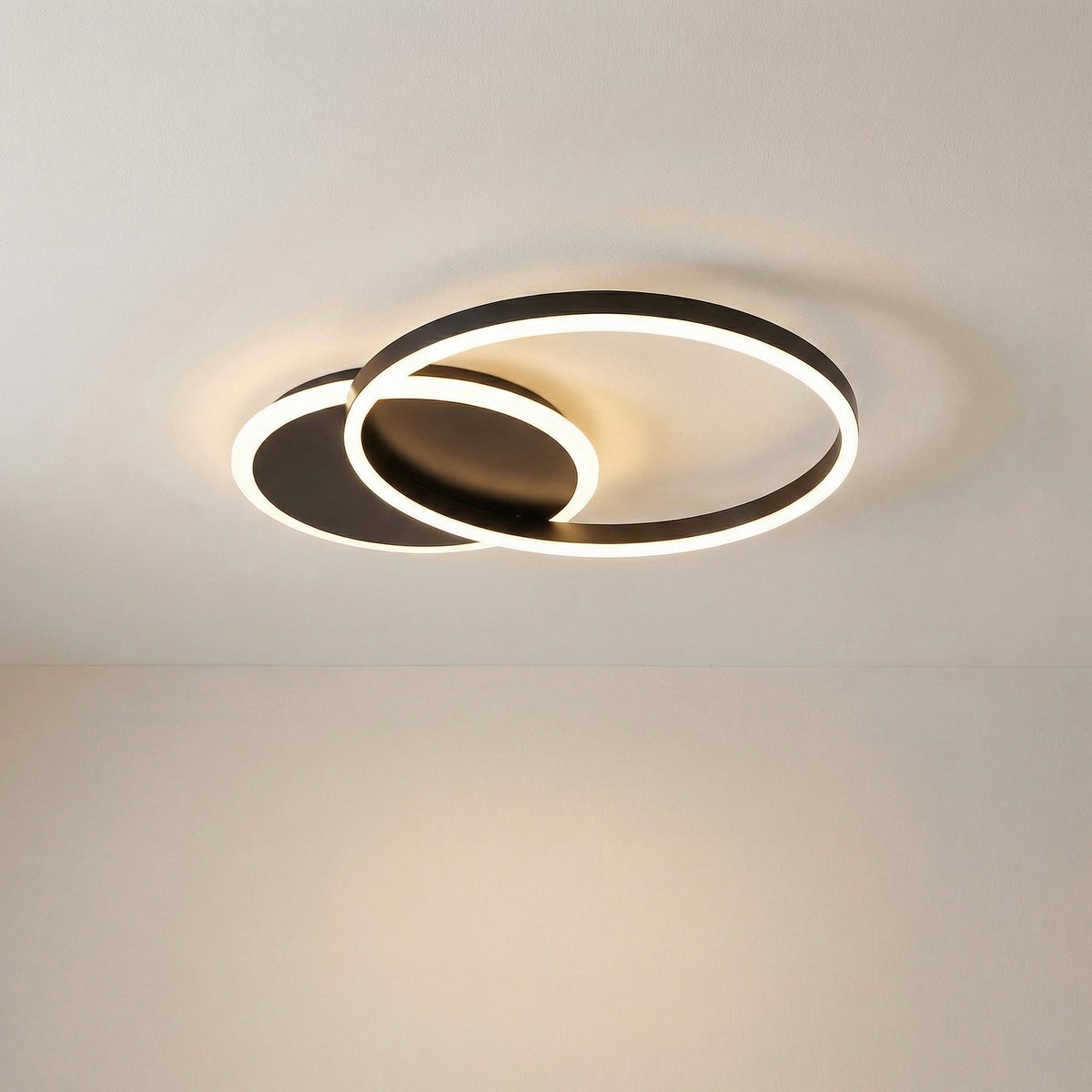 Randale's Ceiling Light