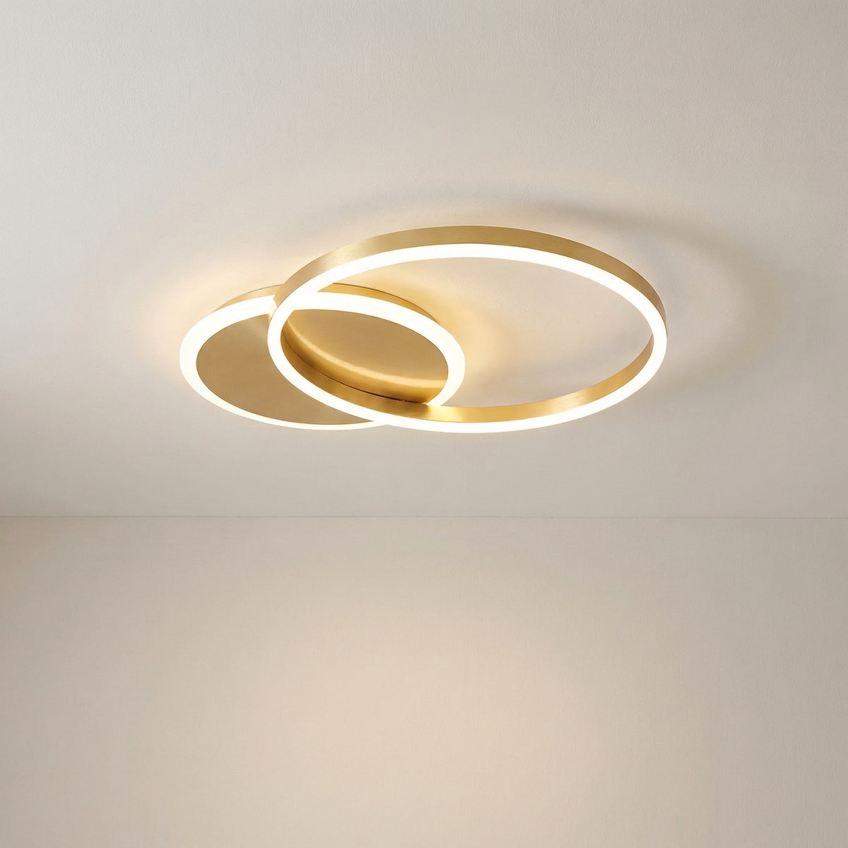 Randale's Ceiling Light