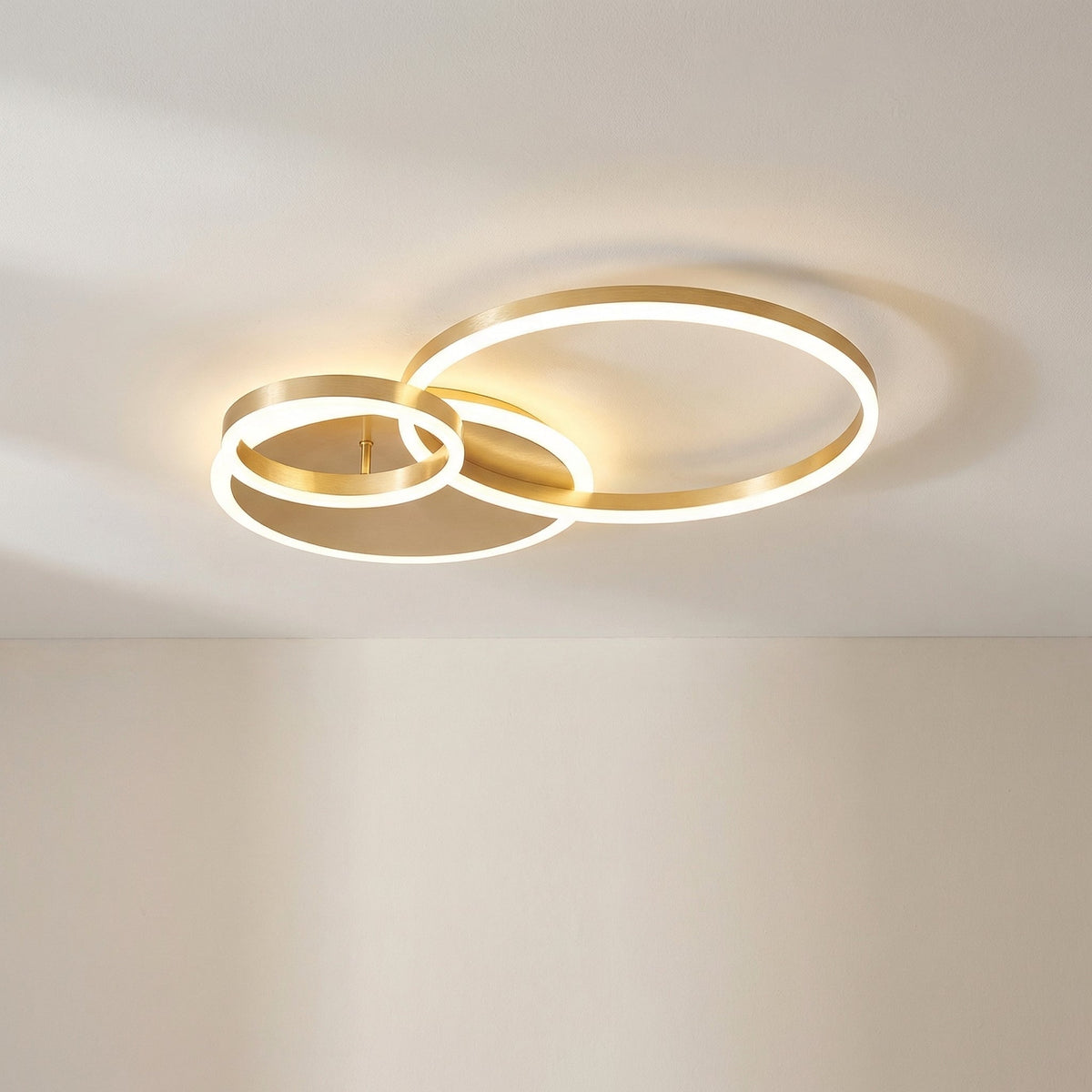 Randale's Ceiling Light