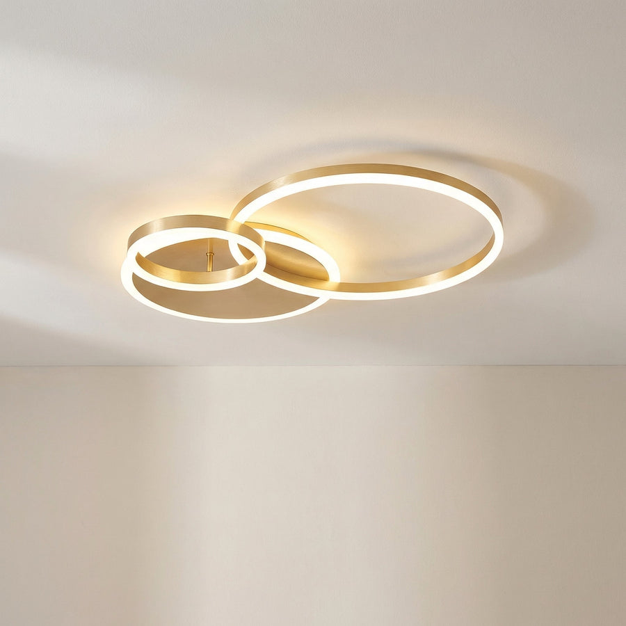 Randale's Ceiling Light