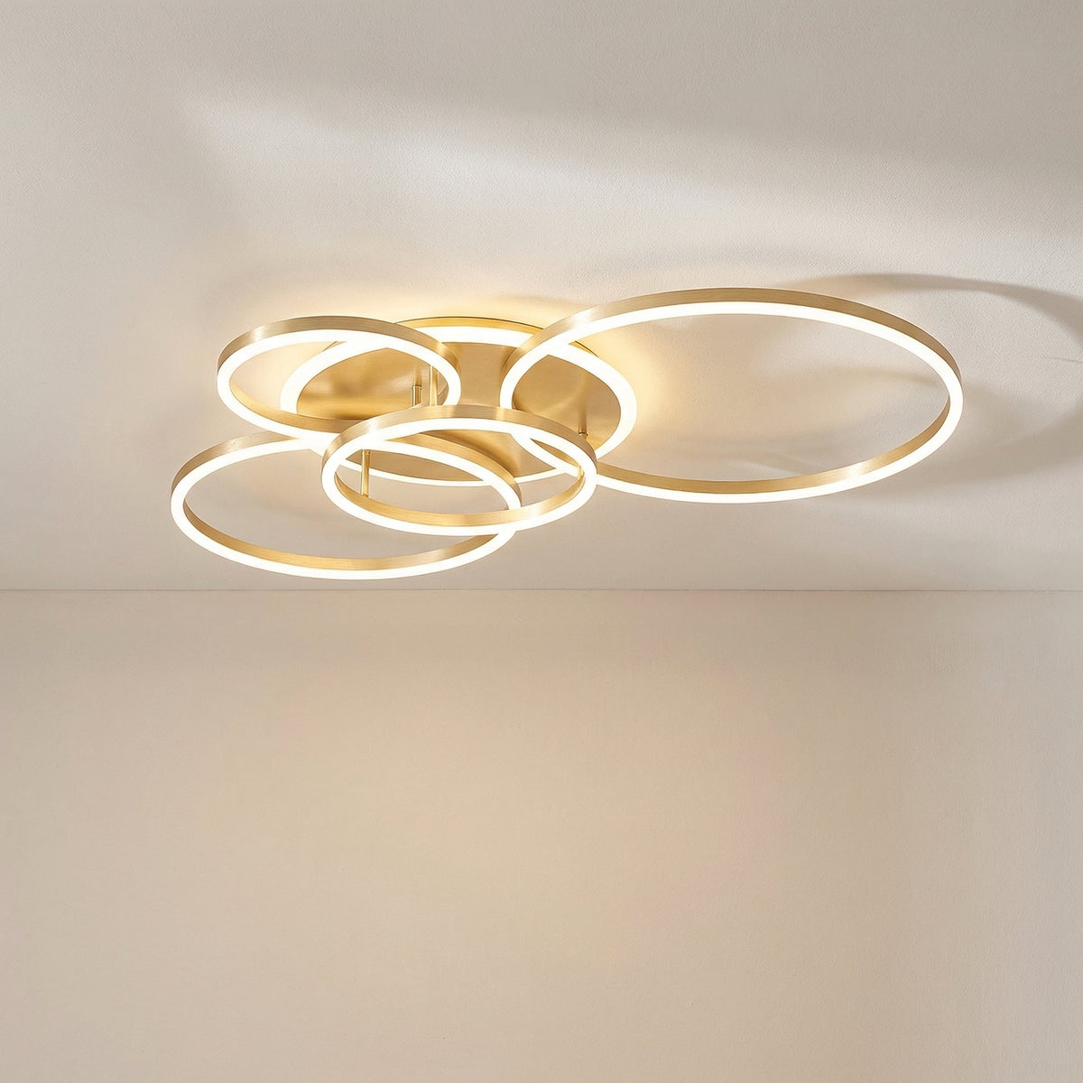 Randale's Ceiling Light