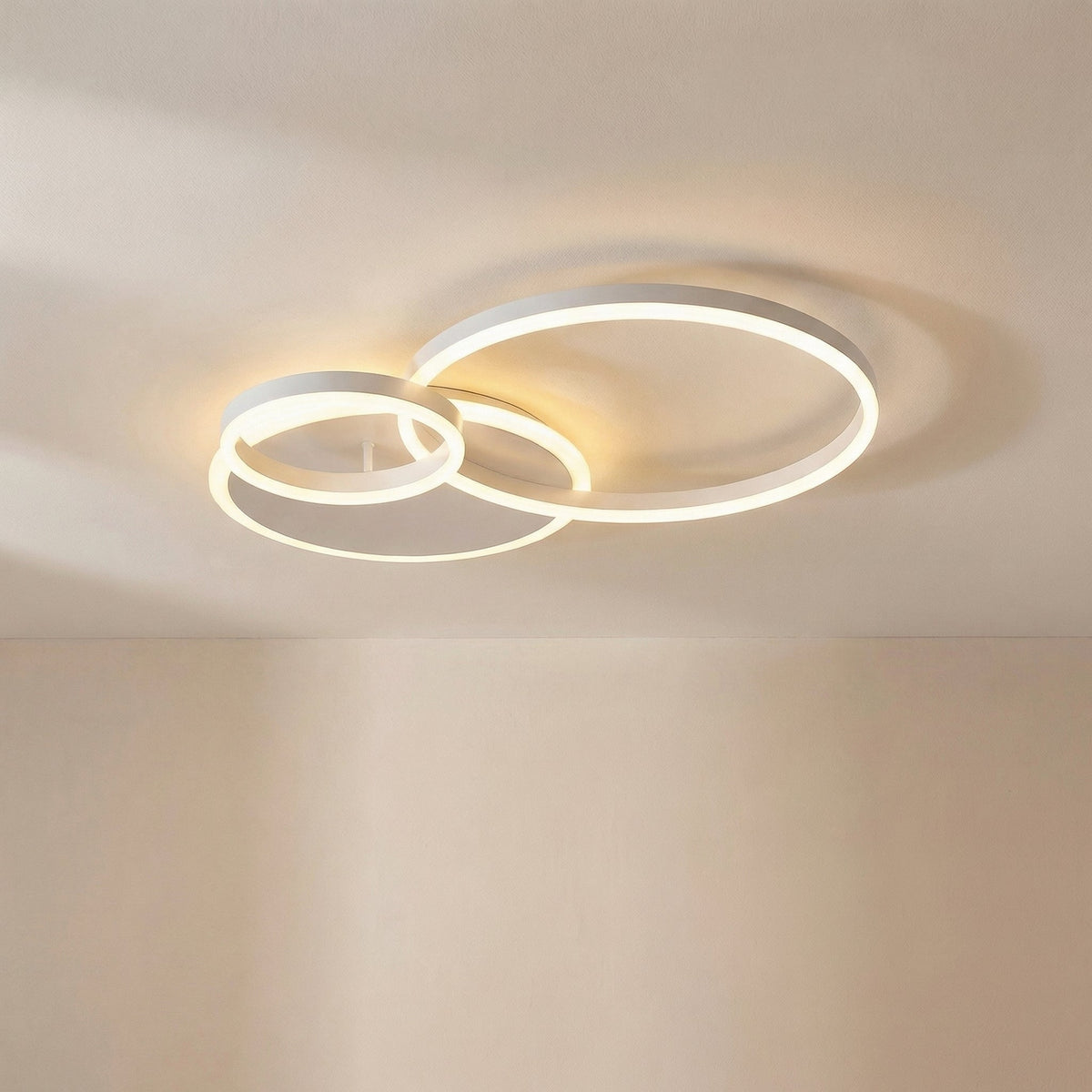 Randale's Ceiling Light